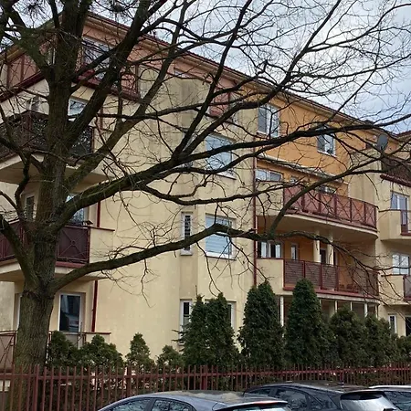 U Basi Przy Centrum Zdrowia Dziecka