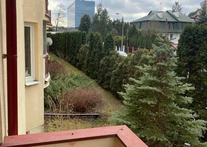 U Basi Przy Centrum Zdrowia Dziecka *